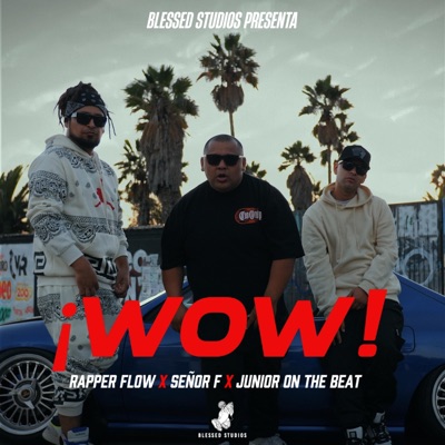 WOW (feat. Junior On the Beat & Señor F) - Single