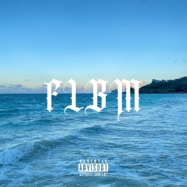 Who u r (feat. Nook) Haile