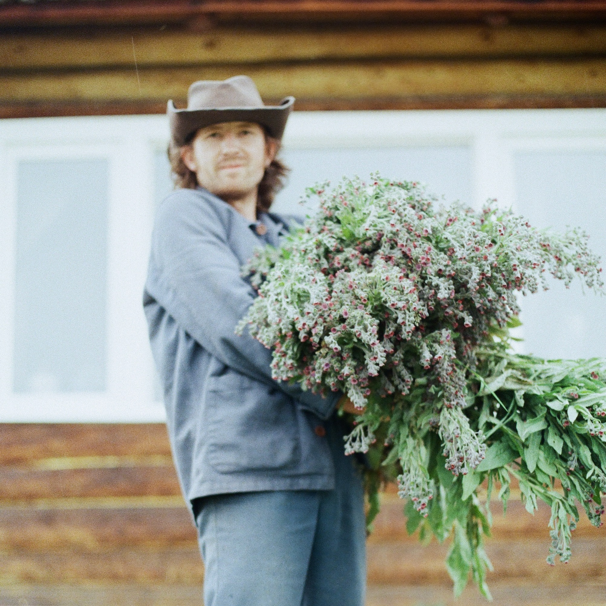 I'm Not Suffering - Single