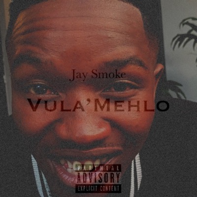 Vula’mehlo (feat. Gusto & passionfruitdilla) - Single