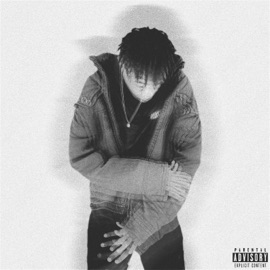 NIGHTS IN 231 (feat. MILLZGOLD & Datway Ezzy) Wicked Hyndrx