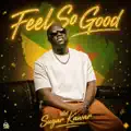 Feel So Good