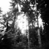 Run Away - SYLV & Stain of Light