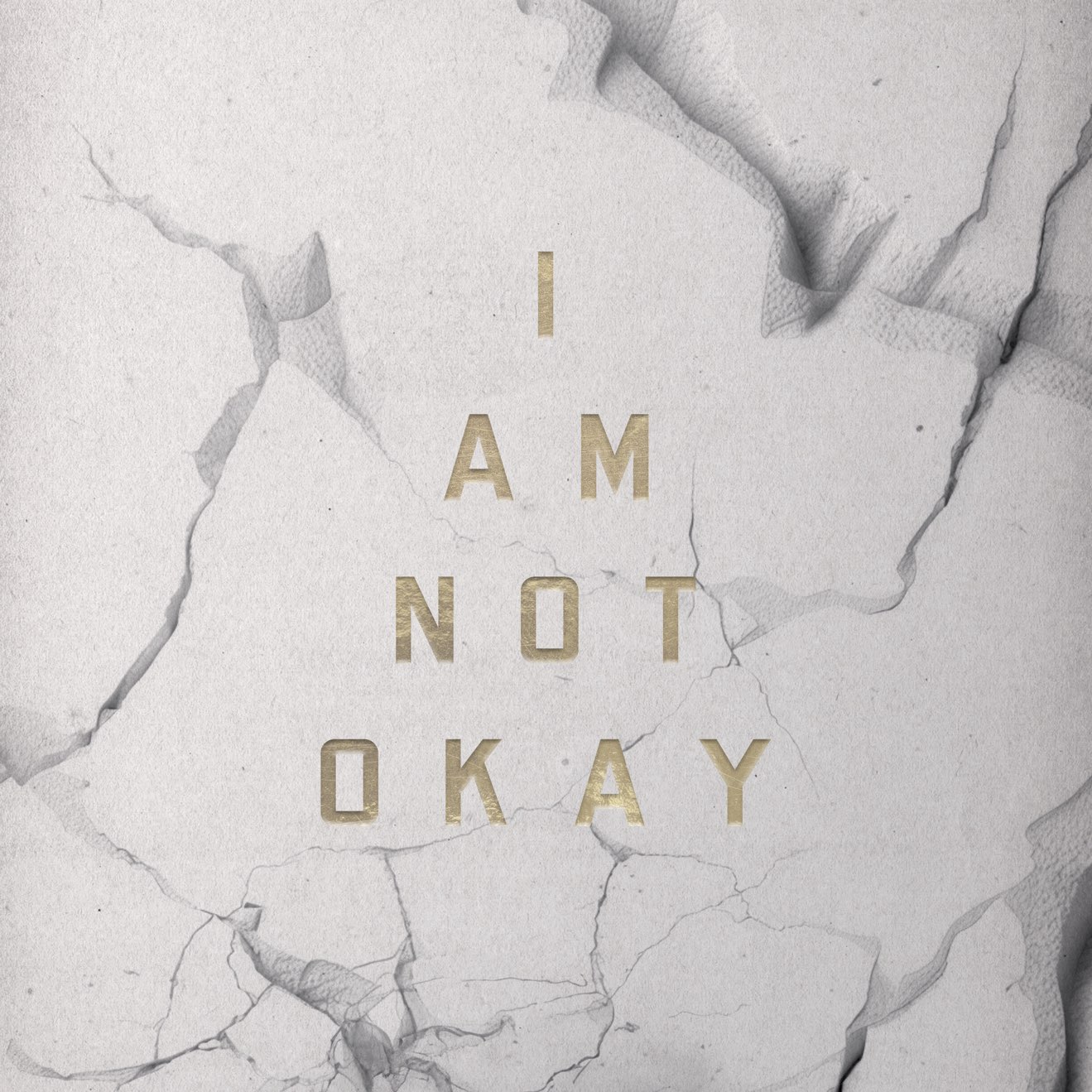 Jelly Roll – I Am Not Okay – Single (2024) [iTunes Match M4A]