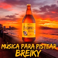Música Para Pistear - Breiky