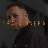 Traicionera (feat. Jair Latin, Alldo & Skinny Vince) - Single - David Torrenegra