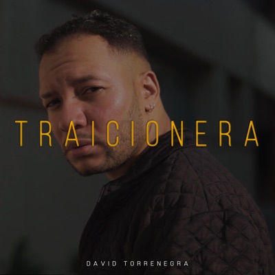 Traicionera (feat. Jair Latin, Alldo & Skinny Vince) - Single