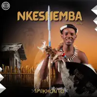 Usungikhombisile — Nkeshemba