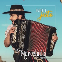 Ofício, Gaita e Gaiteiro