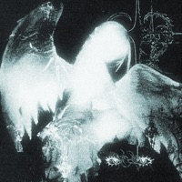 angel_jump - Single - VNXIOUS & angeltears