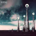 Metaplasm