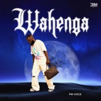 Wahenga - Single