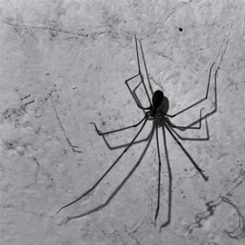 инь ян ста2тика