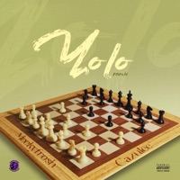 Yolo (Remix) (feat. Cazulee) - Single - Meekyfrosh