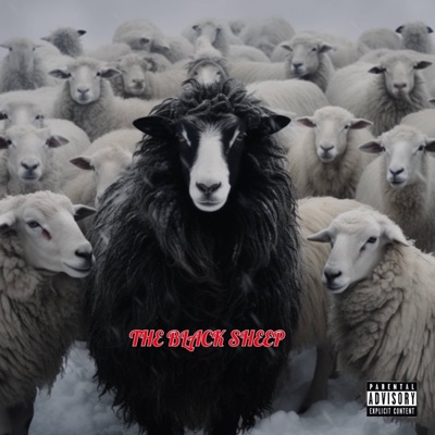 The Black Sheep