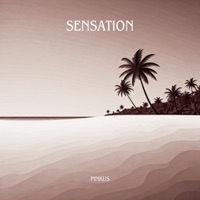 Sensation - Single - Pinkus