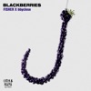 FISHER/BBYCLOSE - Blackberries