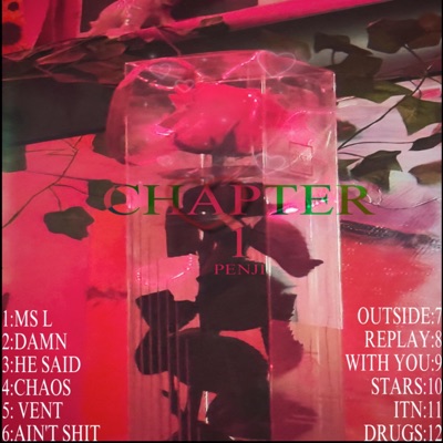 CHAPTER 1