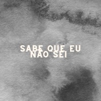 Sabe Que Eu Não Sei - Single - Killer Bee