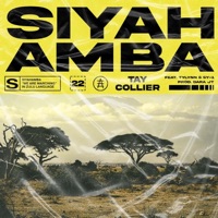Siyahamba (feat. Tylynn & Sy-1) - Single - Tay Collier