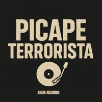 Picape Terrorista - Single - Mc Mendes, Mc Luana Sp & DJ TRALHA DA ZN