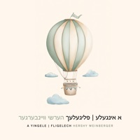 A Yingele / Fligelech - Single - Hershy Weinberger