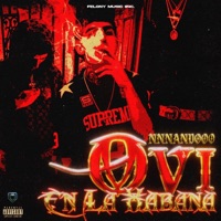 OVI EN LA HABANA (feat. NNNANDOOO) - Single - YOVNGFELO