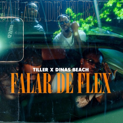 Falar de Flex (feat. DINAS BEACH) - Single