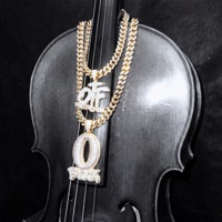 Took Her To The O (Orchestral Version) - Single - nevermade