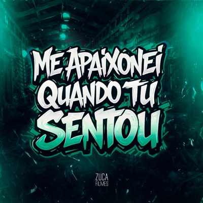 Me Apaixonei Quando Tu Sentou - Single