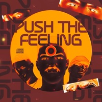 MEGA PUSH THE FEELING - Single - DJ FRACARI