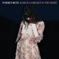 Ache Is A Cricket In The Night
