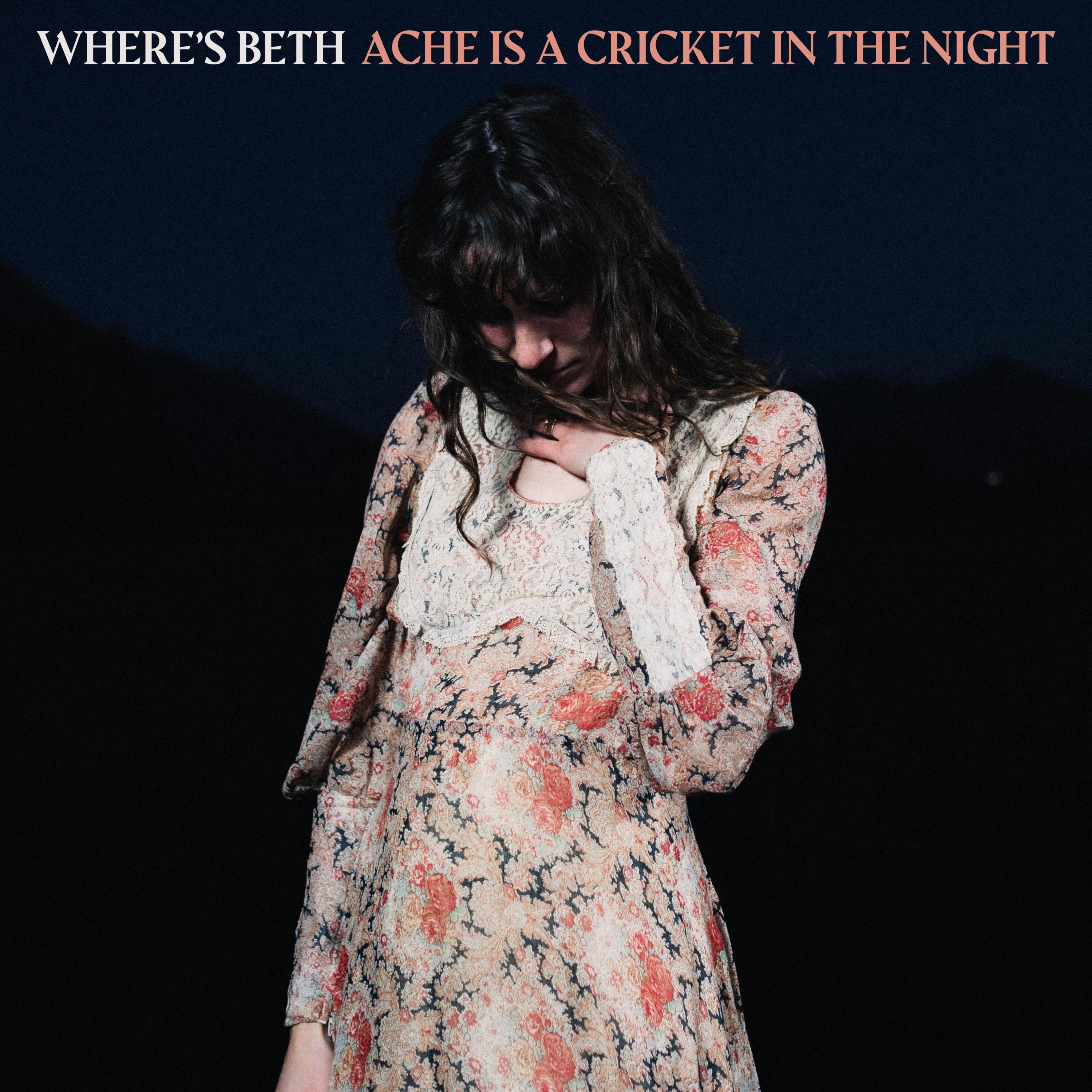Ache Is A Cricket In The Night