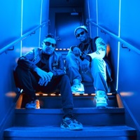 insight (feat. PAV4N & Stooki Sound) - Single - Black Carl!