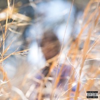 Forever and Now - Lehm