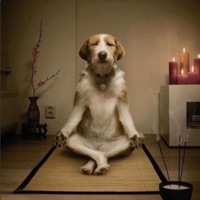 1v1 (feat. wave2hii) - Single - ahst