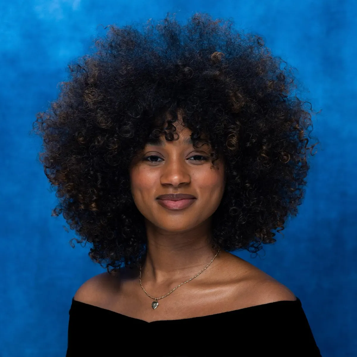 Laila! - Gap Year! (2024) [iTunes Plus AAC M4A]-新房子