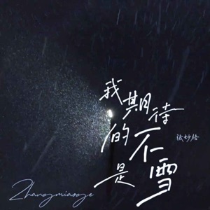 我期待的不是雪 (而是有你的冬天) - EP