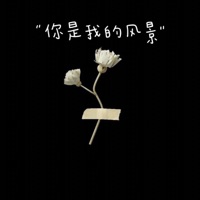 你是我的风景 - Single - Zy
