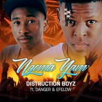 Ngoma Yami (feat. Efelow & Danger) - Single - Distruction Boyz