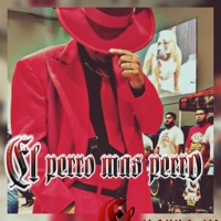 El perro más perro (feat. Nika el traviezo) - Single - davis madrigal