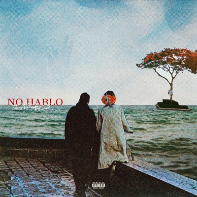 No Hablo Ingles - Single