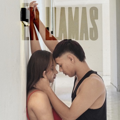 En Llamas - Single