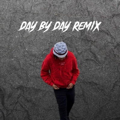 Day by Day (Raq baby remix) - Single