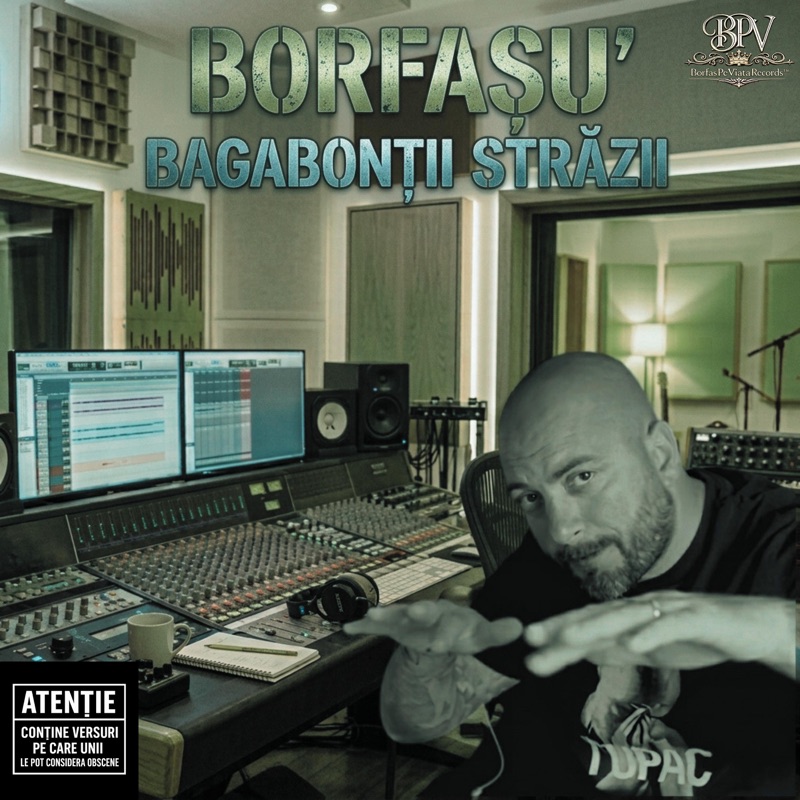 Bagabontii Strazii - Single