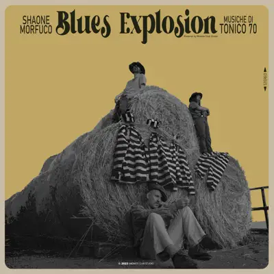 Morfuco, Tonico 70 & Shaone adlı sanatçının Blues Explosion albümünü dinle