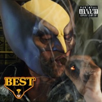 B.E.S.T (Beats Everybody Smokes To) - Wulverine
