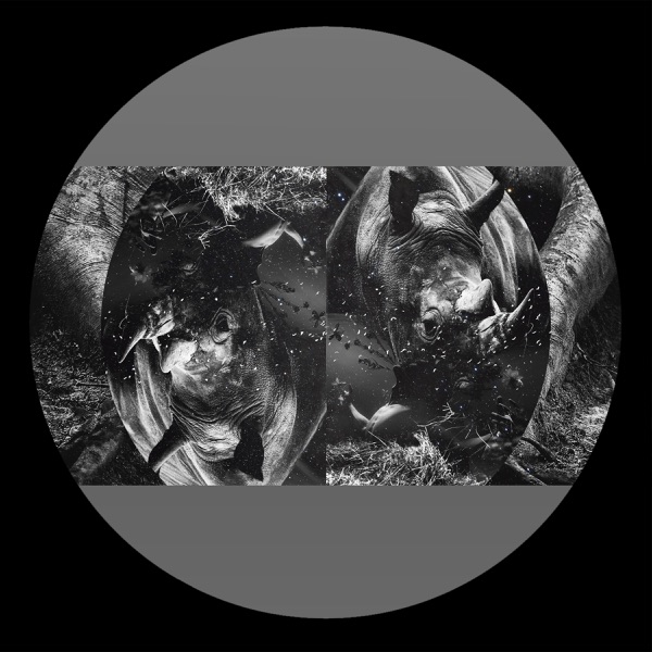 Shadow Pulse - Single