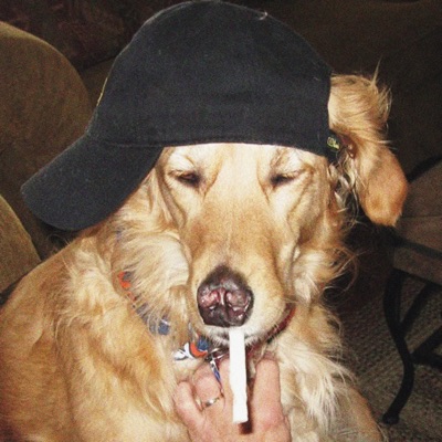 My Dawg - Single
