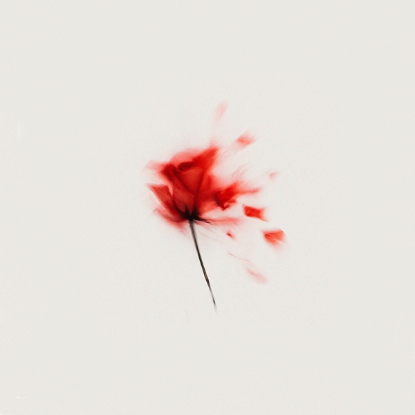 Hurt You